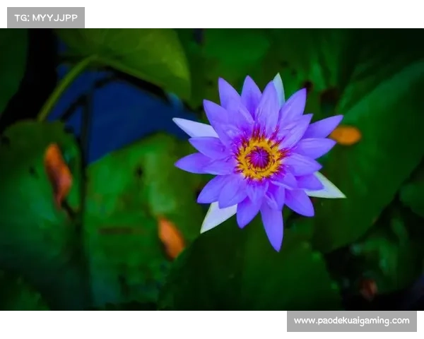 赣BA引入AI辅助解说员，推动体育赛事数字化